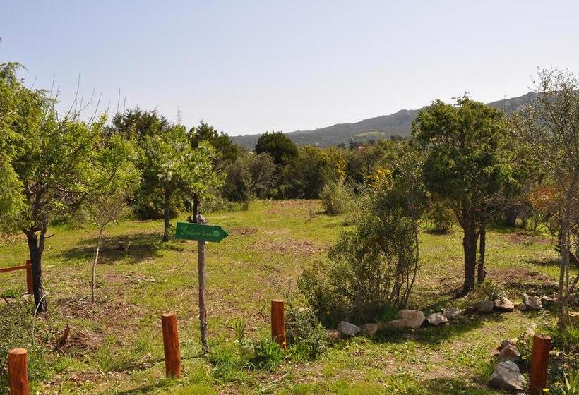 هتل B&b Albaluccia