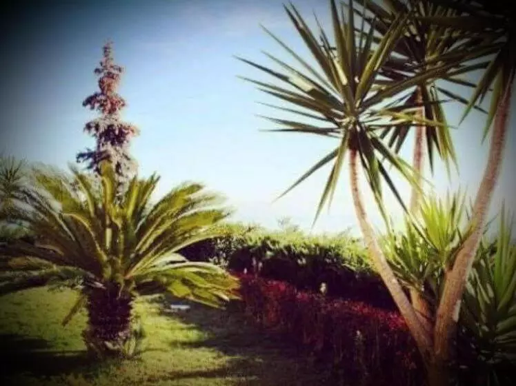 ホテル B&b Villa Floriana