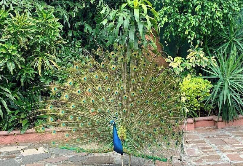 فندق Boutique Casa De Campo