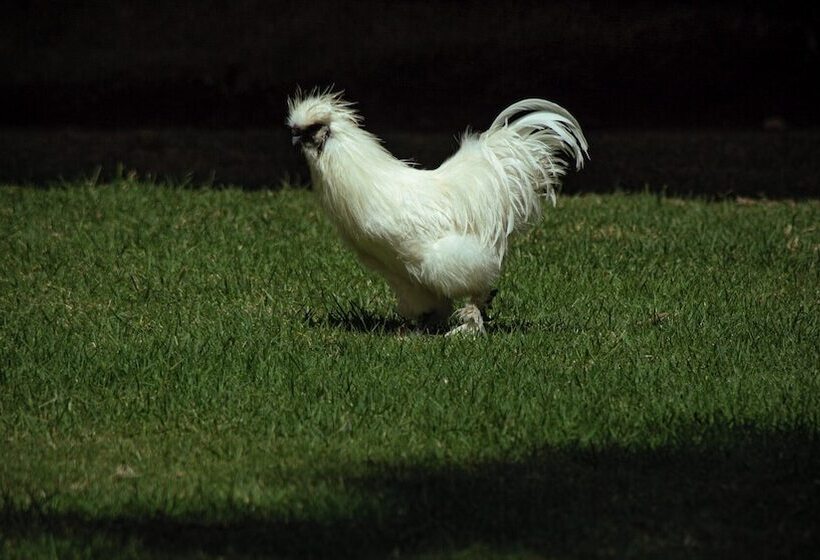 فندق Boutique Casa De Campo