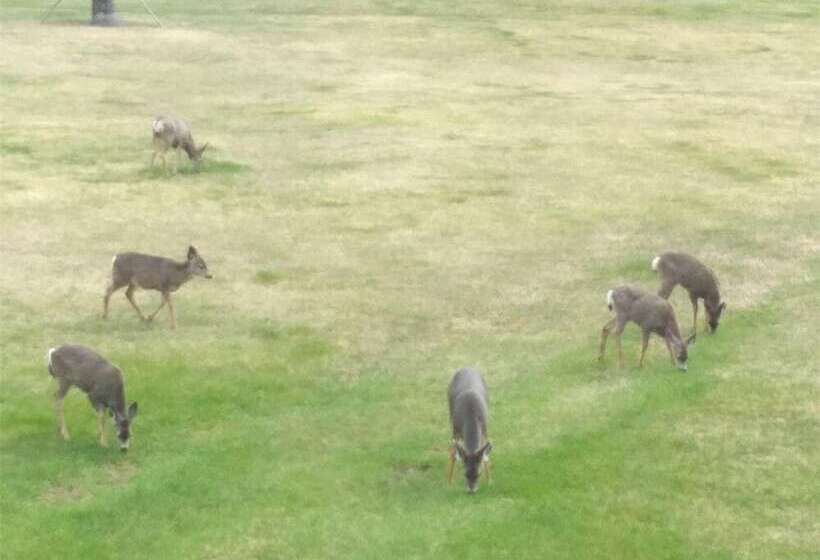 Szálloda Cariboo Log Guest House