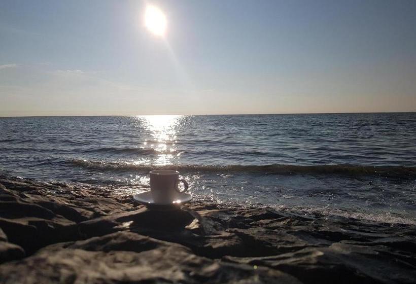 ホテル B&b Texels Groen