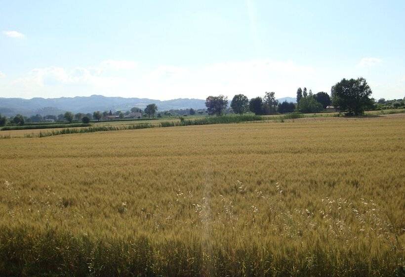 בית מלון כפרי Fontecese Bed And Breakfast