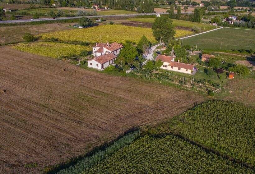 בית מלון כפרי Fontecese Bed And Breakfast