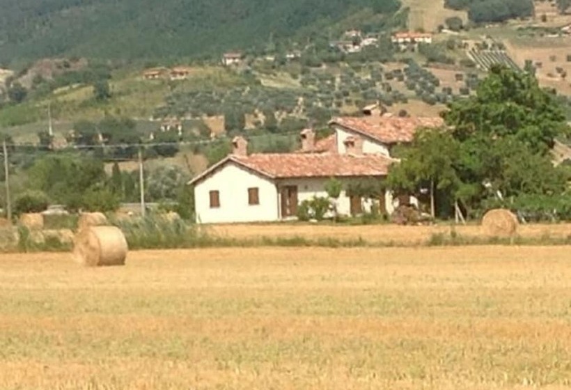 בית מלון כפרי Fontecese Bed And Breakfast