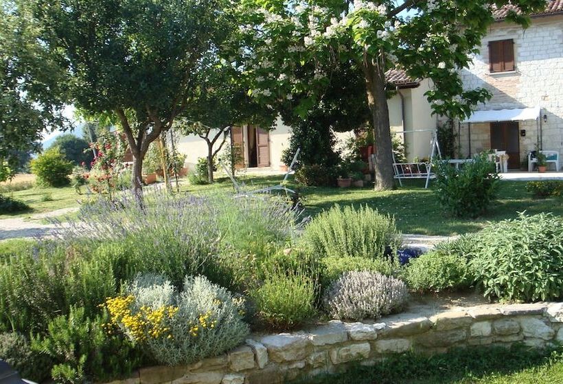 בית מלון כפרי Fontecese Bed And Breakfast