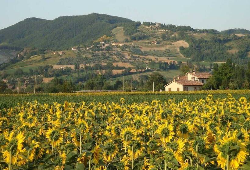 בית מלון כפרי Fontecese Bed And Breakfast