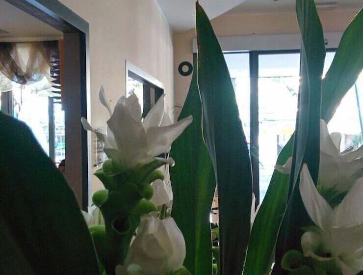 בית מלון כפרי Gambrinus