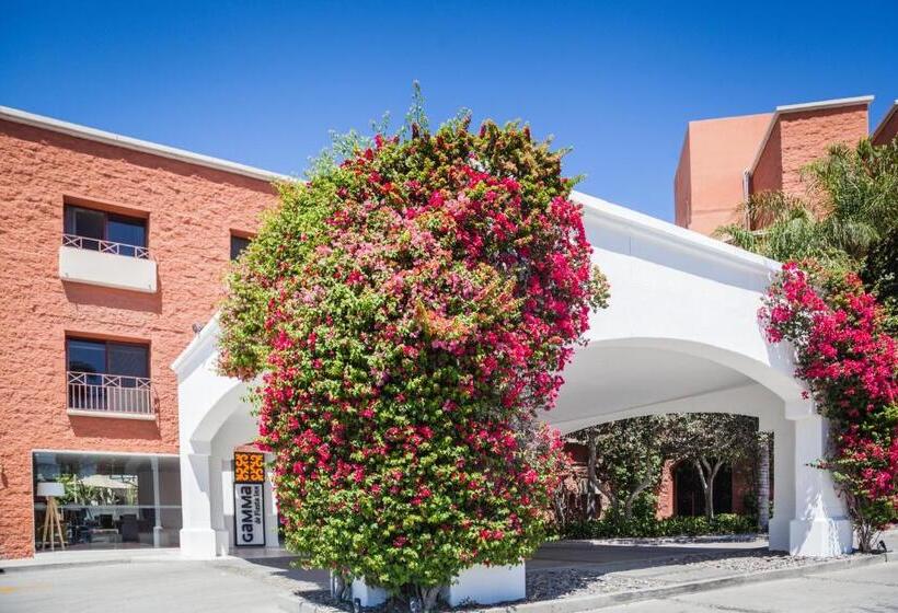 Otel Gamma Tijuana