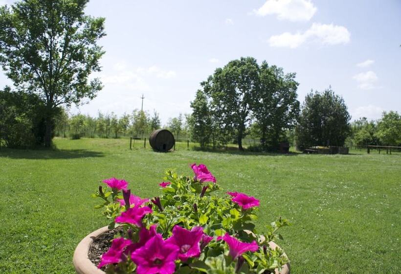 هتل Monastero San Silvestro