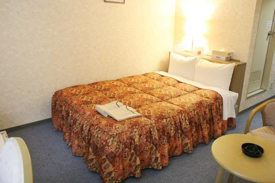 Hotel Shizuoka Daiichi