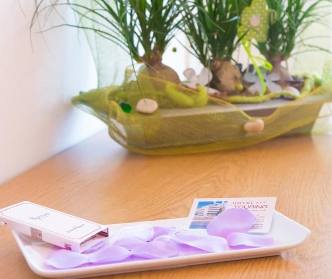 ホテル Touring Misano Adriatico