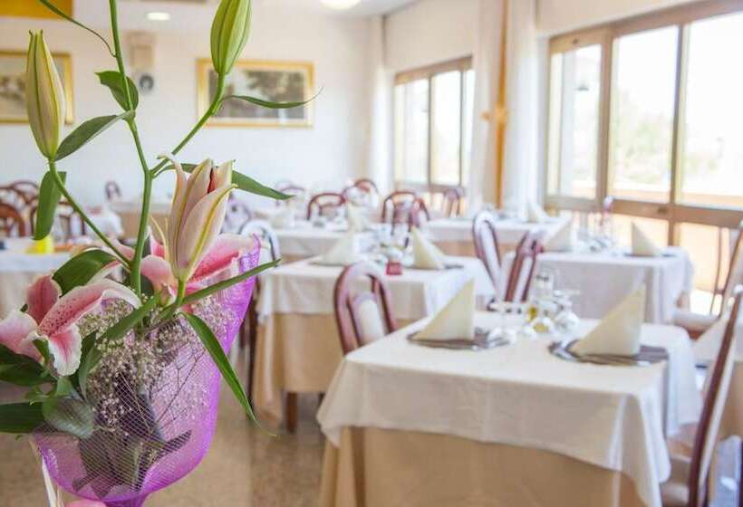 ホテル Touring Misano Adriatico