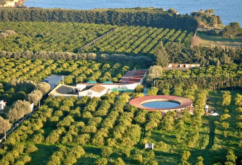 호텔 Villa Felicia