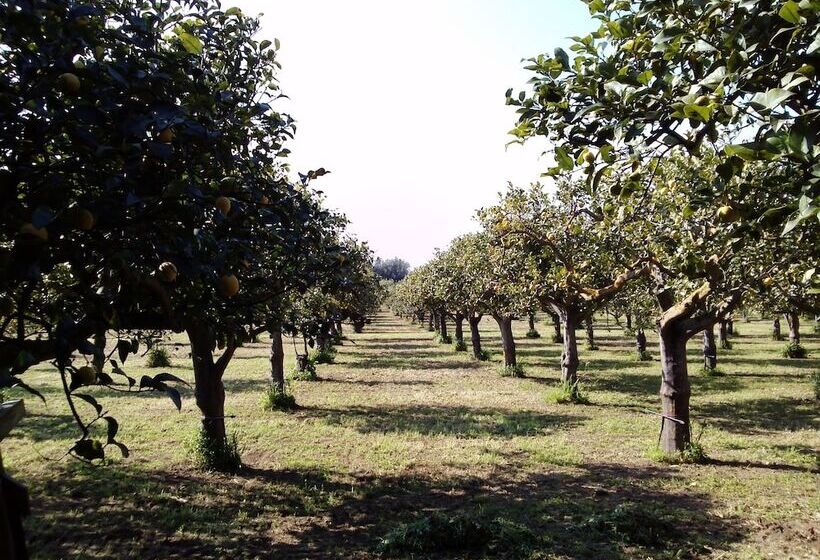 호텔 Villa Felicia