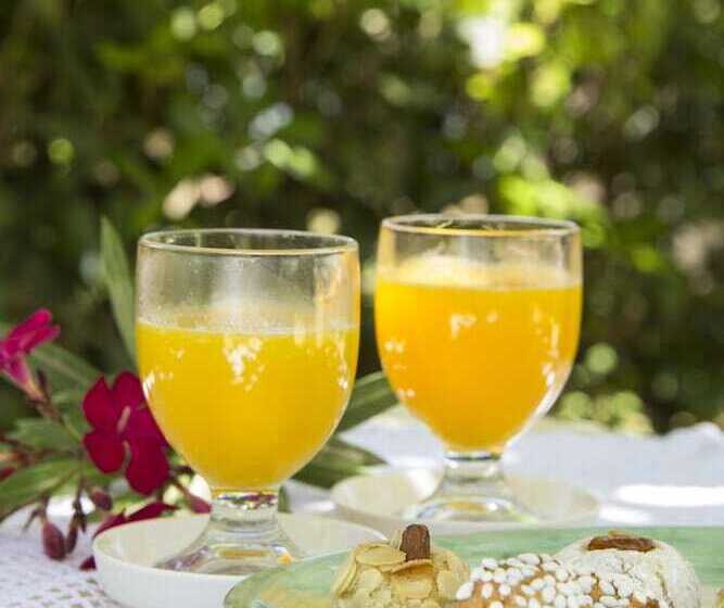 호텔 Villa Felicia