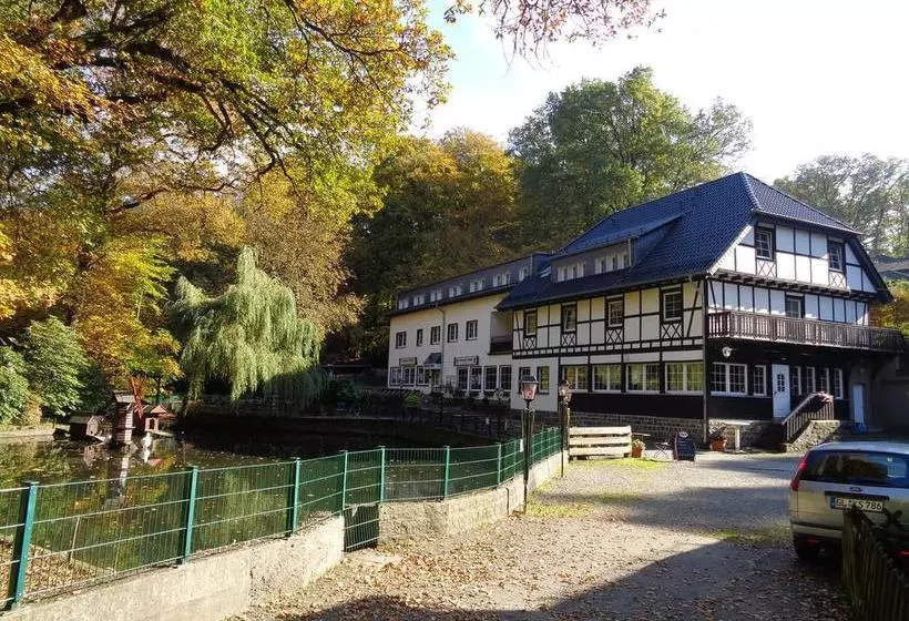 Hotelli Forsbacher Muhle