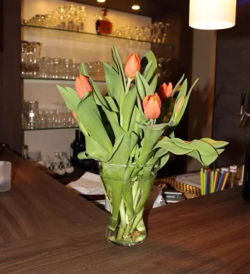 Hotel Rendsburg