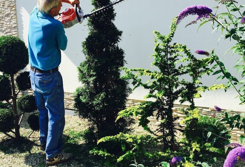 酒店 Wilsmann Apartmentvermietung