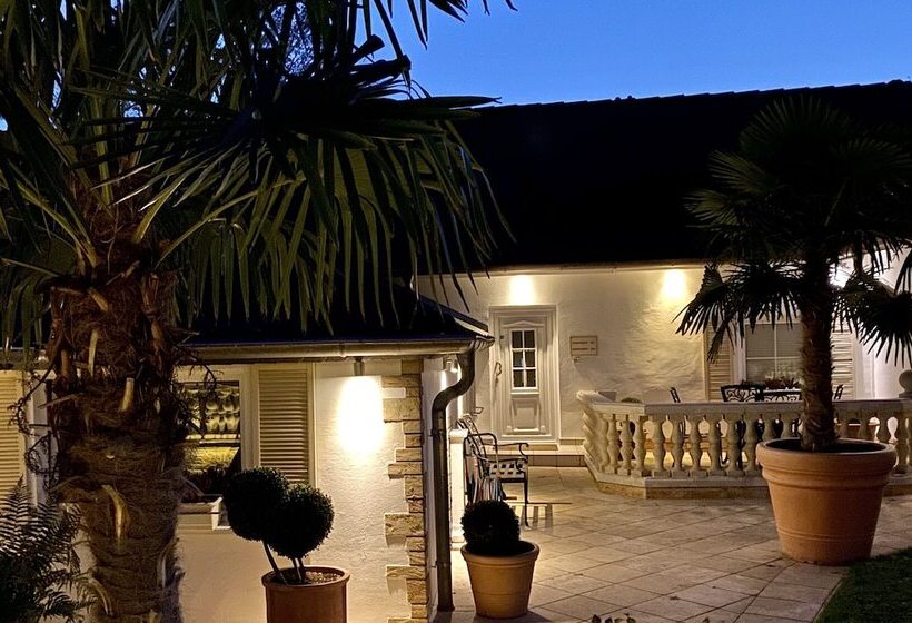 酒店 Wilsmann Apartmentvermietung