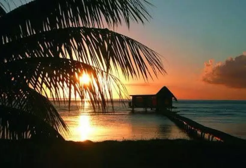 هتل Raiatea Lodge