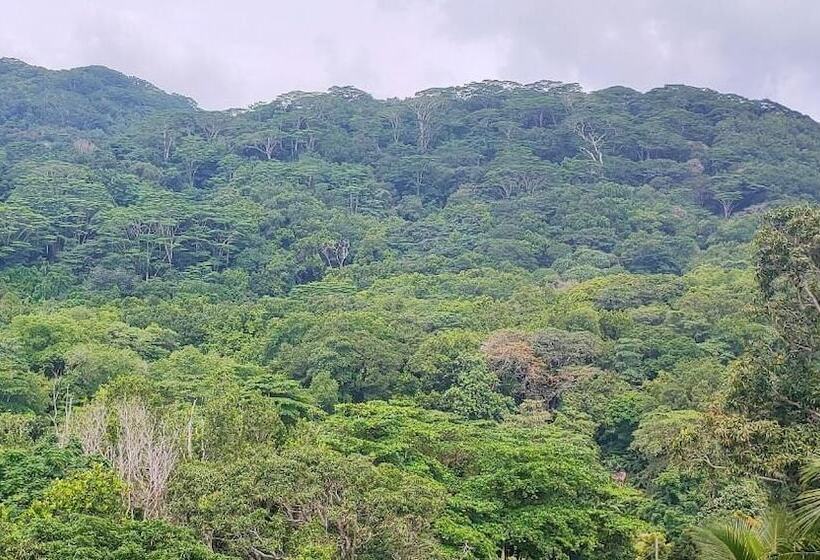 هتل Mountain View