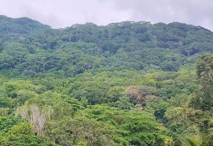 هتل Mountain View