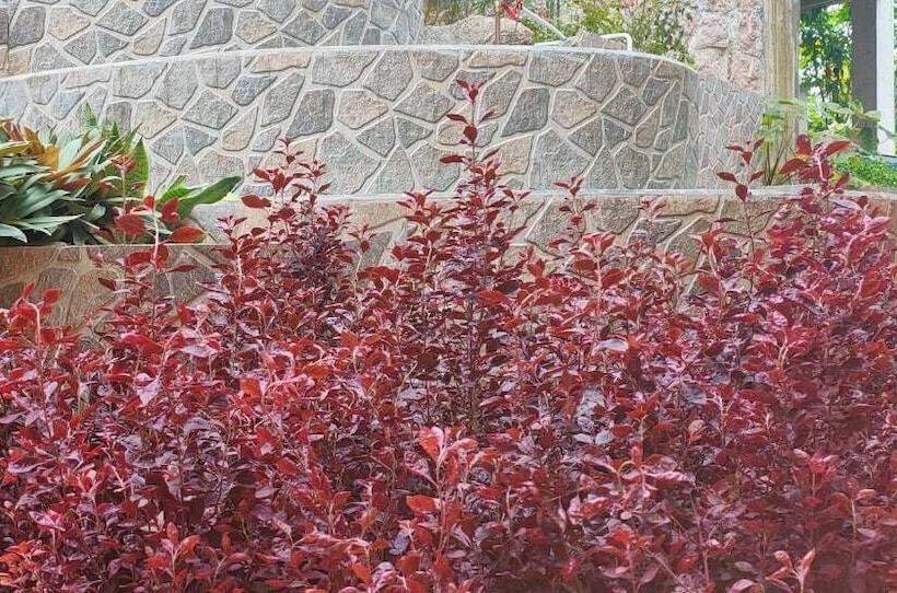 هتل Mountain View