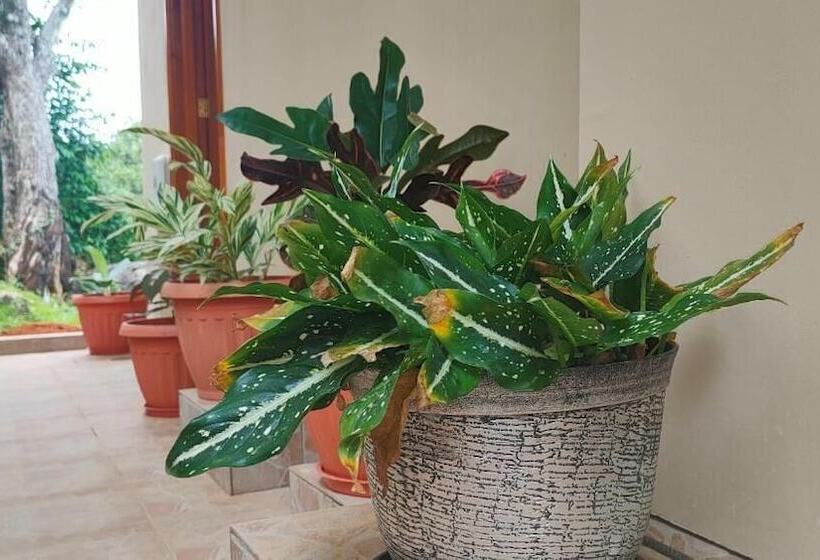 هتل Mountain View