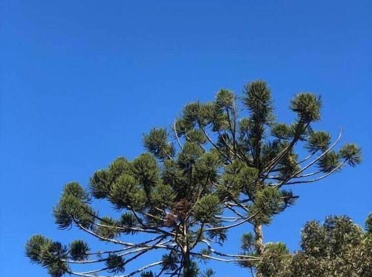 ホテル Pousada Cores E Flores