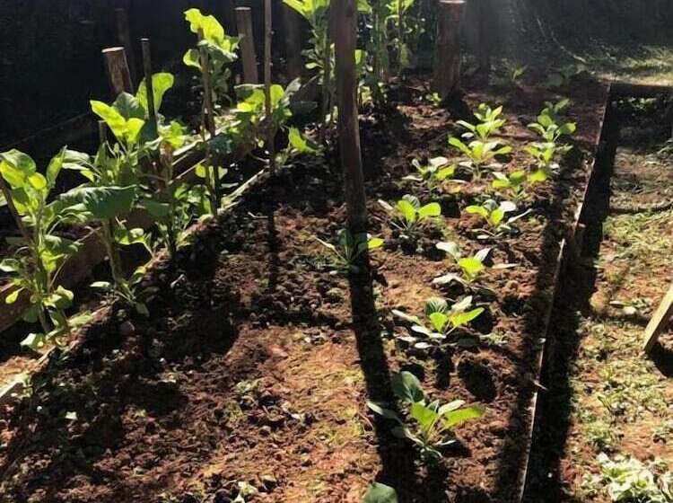 ホテル Pousada Cores E Flores