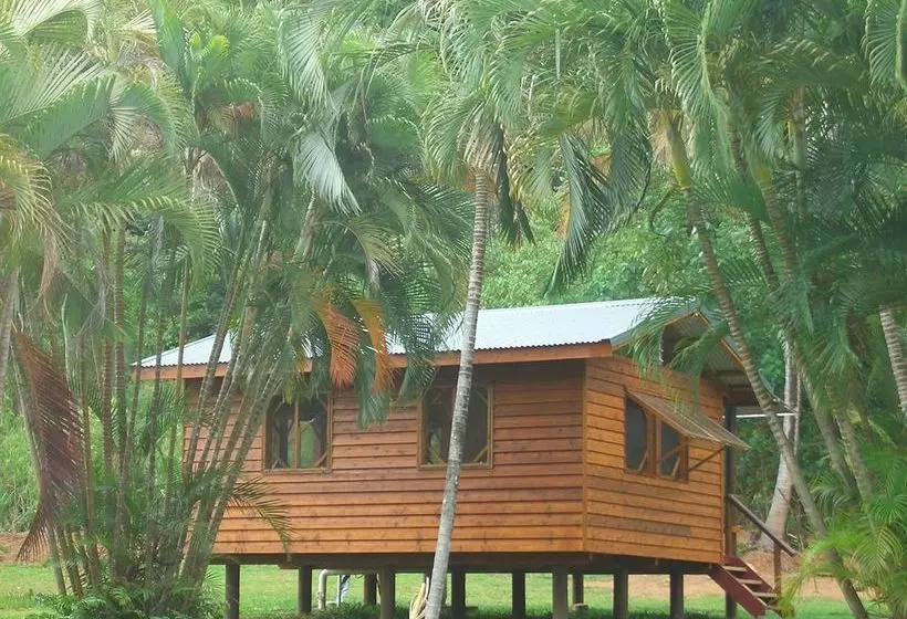 Hotelli Daintree Rainforest Bungalows