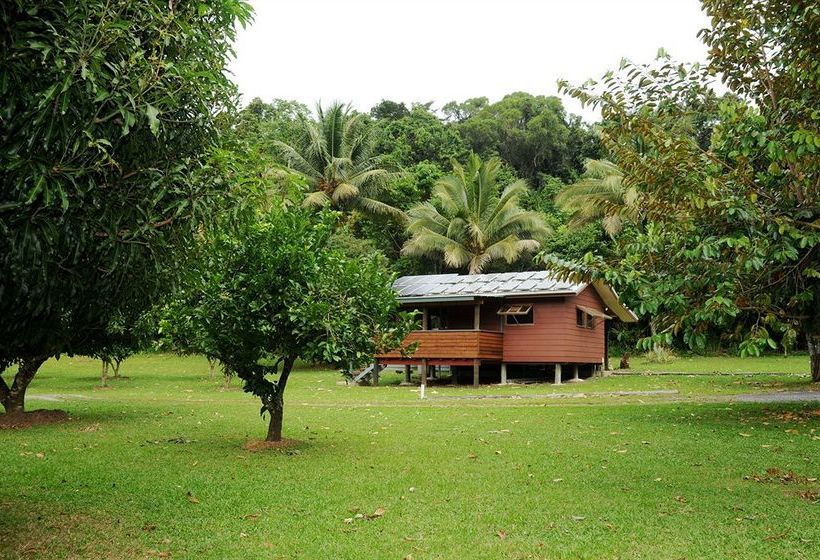 Отель Daintree Rainforest Bungalows
