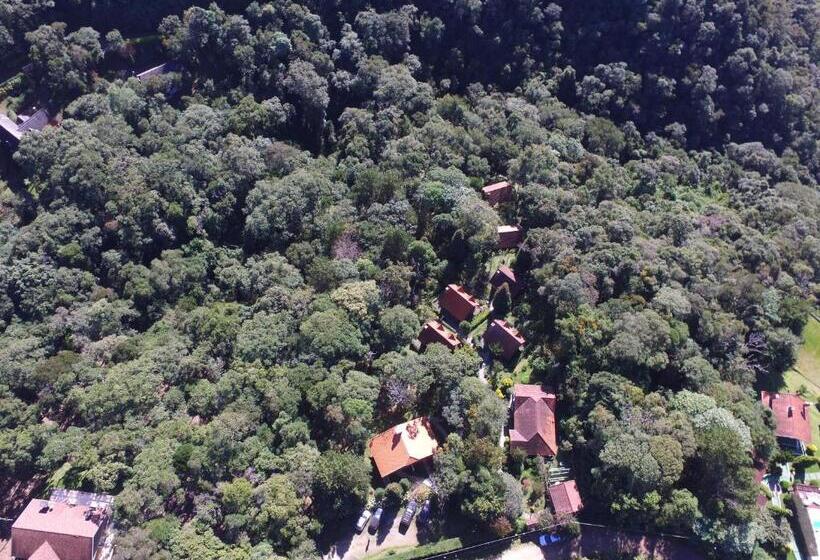 فندق Grunwald Chales