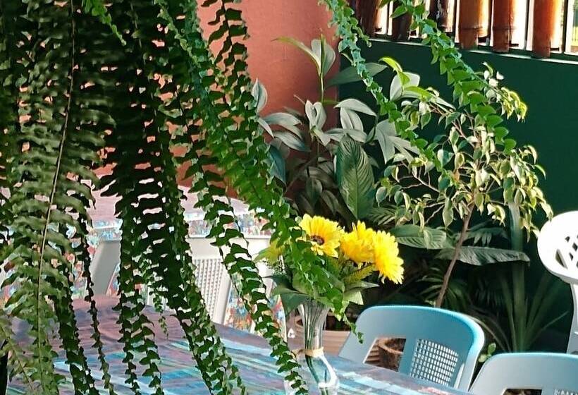 בית מלון כפרי Hostel Freeway