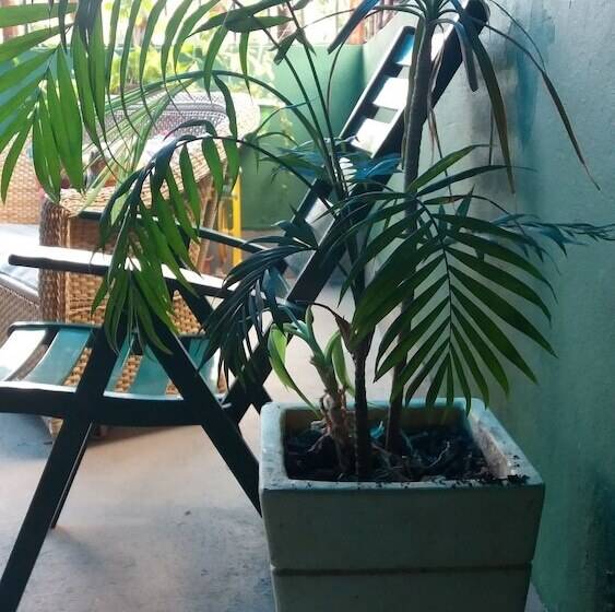 בית מלון כפרי Hostel Freeway