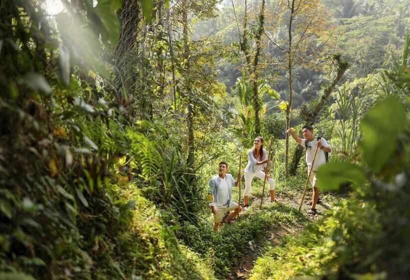 Hotel Padma Resort Ubud