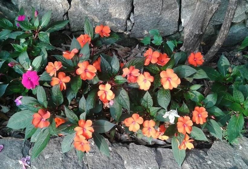 فندق Pousada Santo Expedito