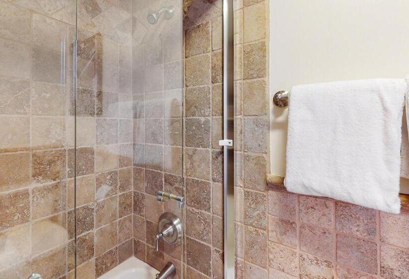 هتل Smuggler By Telluride Alpine Lodging