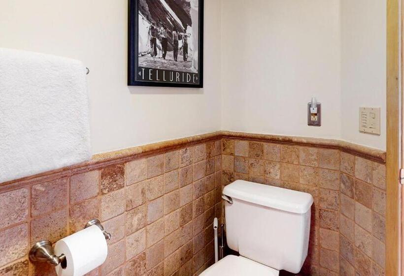 هتل Smuggler By Telluride Alpine Lodging