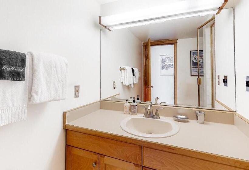 هتل Smuggler By Telluride Alpine Lodging