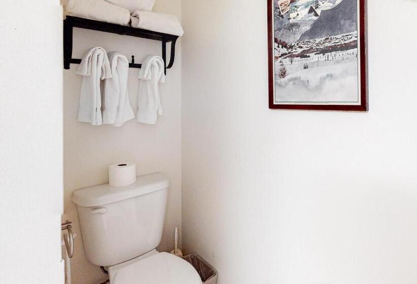 هتل Smuggler By Telluride Alpine Lodging