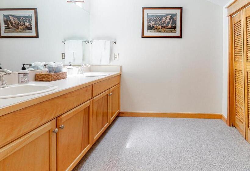 هتل Smuggler By Telluride Alpine Lodging