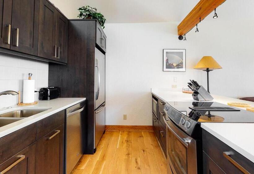 هتل Smuggler By Telluride Alpine Lodging