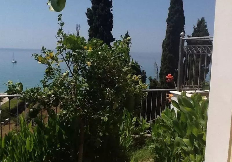 Miloni Studios