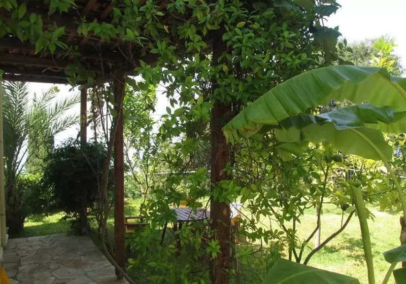 Miloni Studios