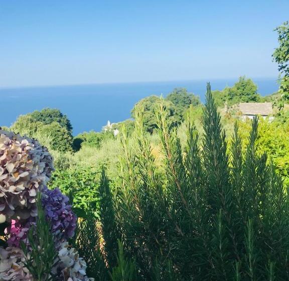 펜션 Gardenia Studios