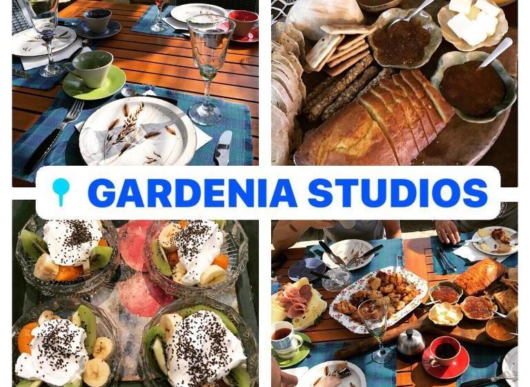 펜션 Gardenia Studios