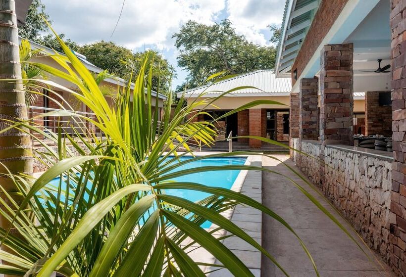 تختخواب و صبحانه The Shrub Lodge