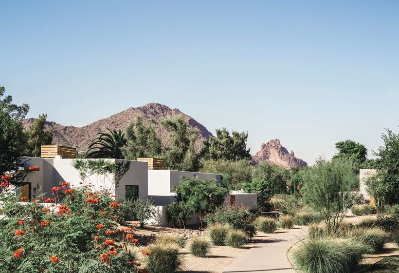 Andaz Scottsdale Resort & Bungalows